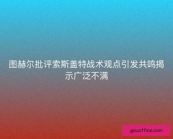 图赫尔批评索斯盖特战术观点引发共鸣揭示广泛不满
