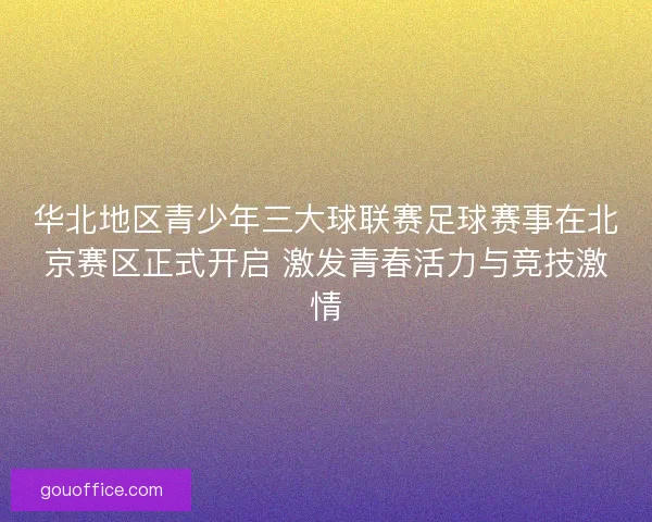 华北地区青少年三大球联赛足球赛事在北京赛区正式开启 激发青春活力与竞技激情 华北地区青少年三大球联赛足球赛事在北京赛区正式开启 激发青春活力与竞技激情